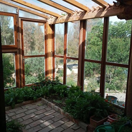 منزل الضيف Làconi  في Country Living School المظهر الخارجي الصورة